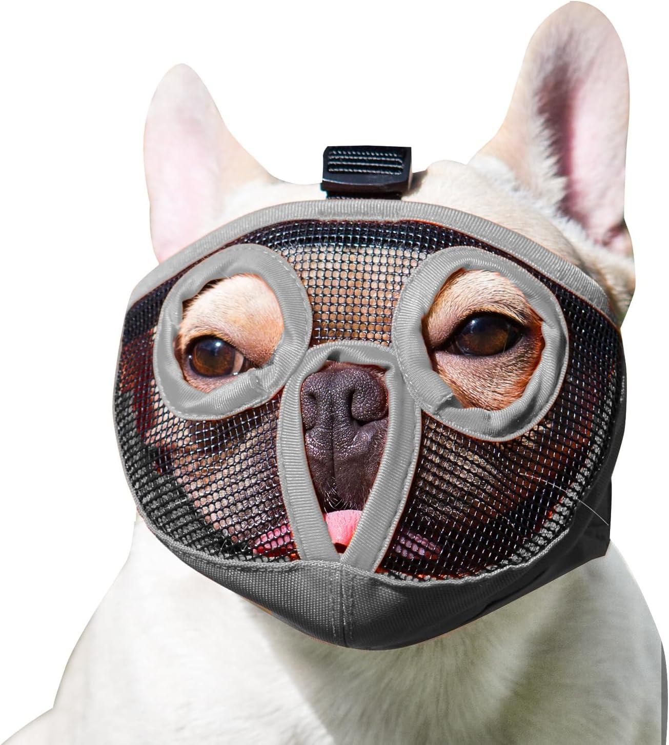 Bursting point tested vs. snout comfort stunning insight 🐾