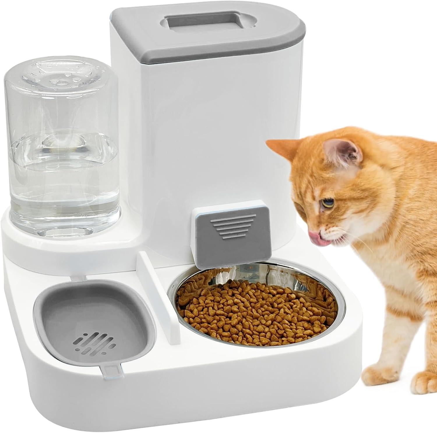 Comparing Pet Dispensers: Surprising Insights for Healthy Feeding