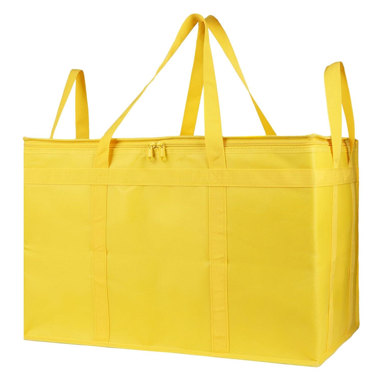 Insulated Bags Showdown: Tested For Keeps...Best picks for Eco-Trendy Buyers!