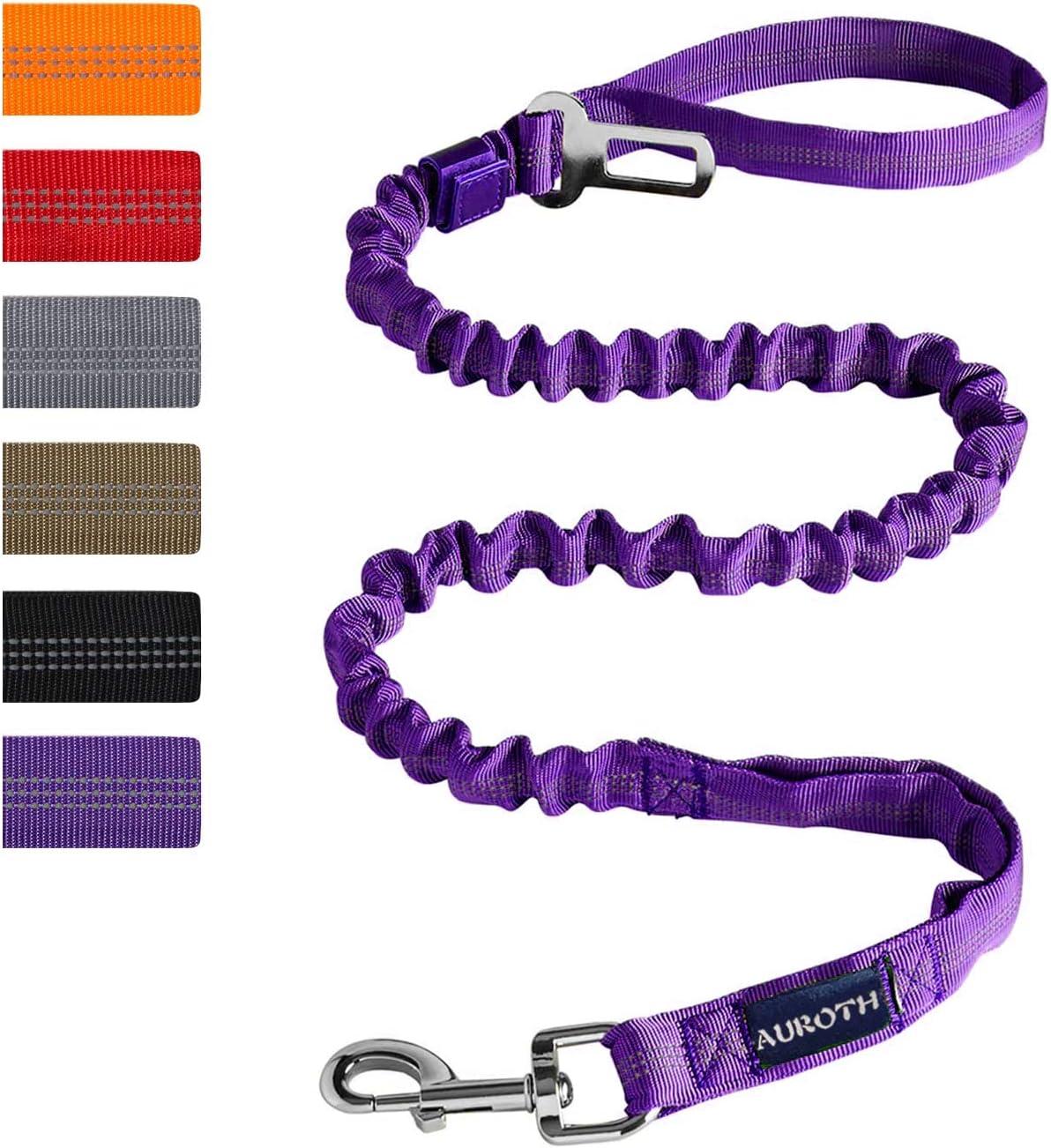Versus Leashes: Surprising Dog Training benefits tested!