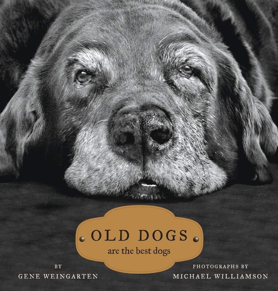 Old Dogs Versus New: Tested Traits Benefit Buyers...true luv!