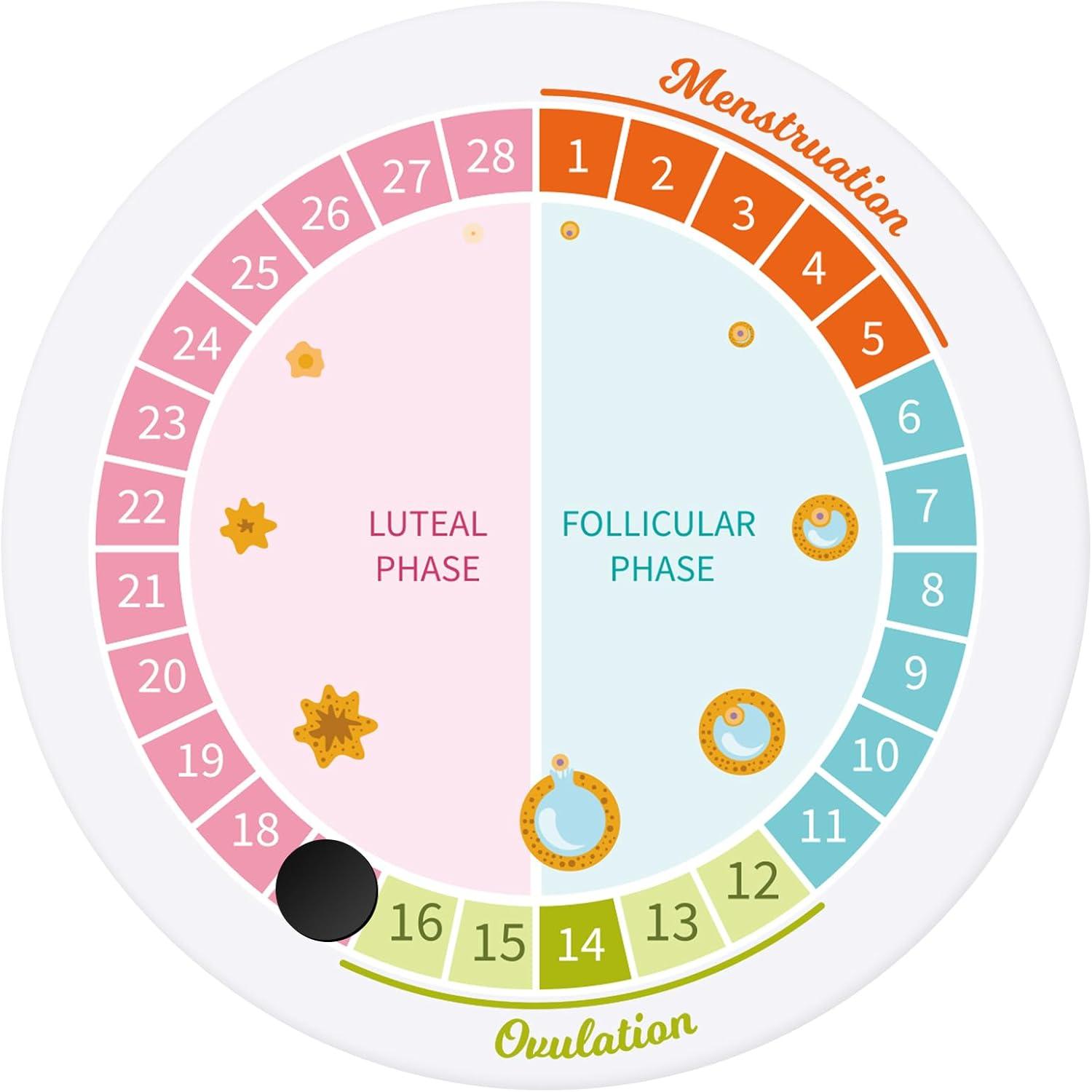 Surprising insight: Aligned cycle tracker showdown