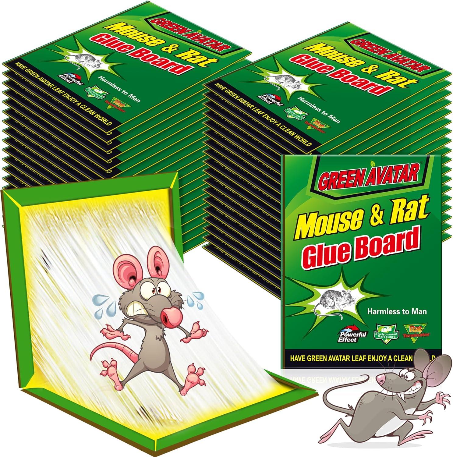 Catchmaster Traps: Tested, Humane Rodent Control For Every Season