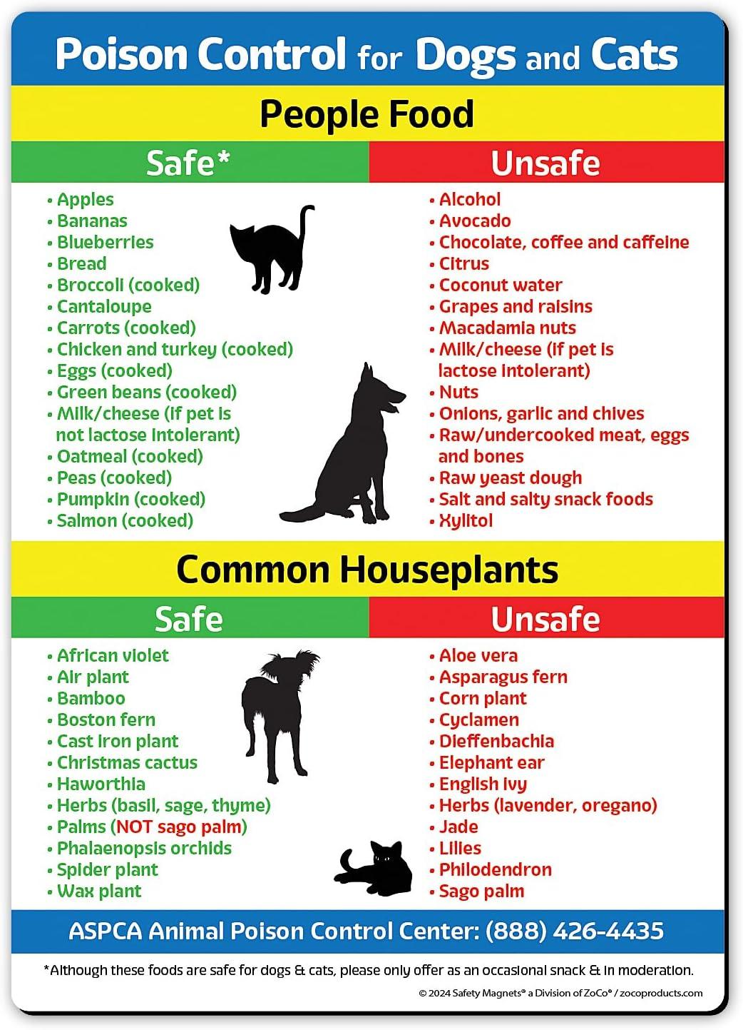 Toxic vs. Safe Pets' Foods... Tested Magnet Showdown!