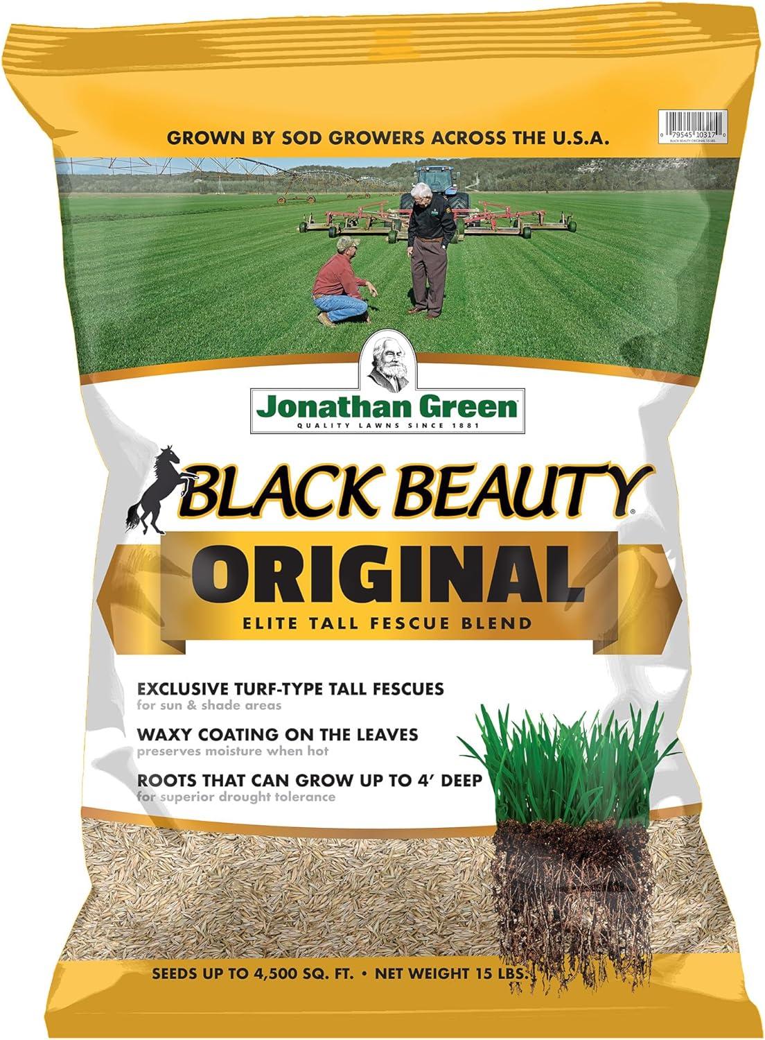 Jonathan Green Black Beauty Original Grass Seed Compared... Winter to Summer
