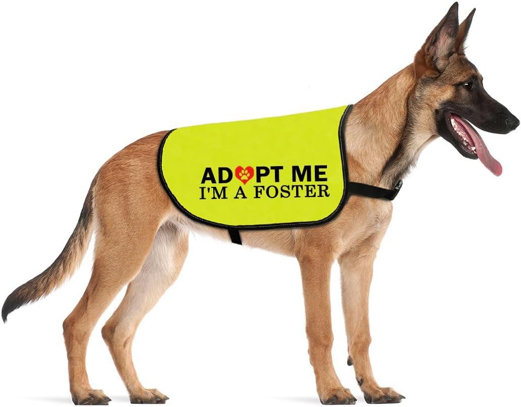 Saving Shelter Pups: Adopt Me! Dog Vest Wins Compared...Comfortably!