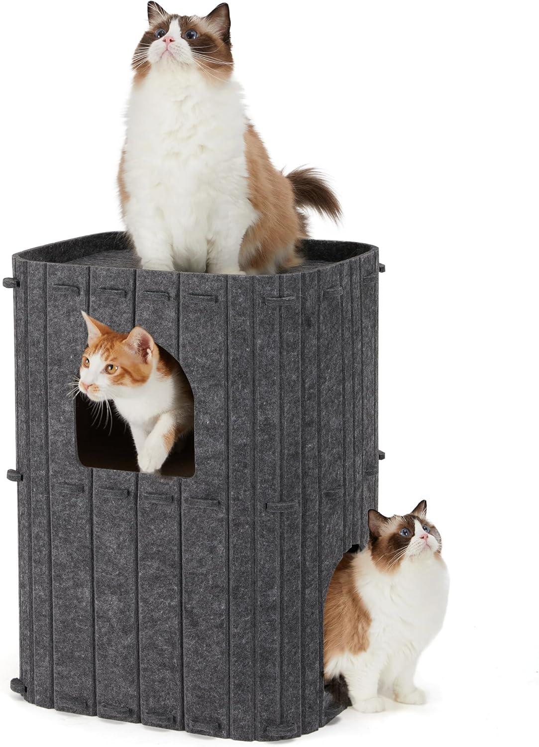 Curious Cats Compared: Felt Cave Showdown, Big Bed Benefits!