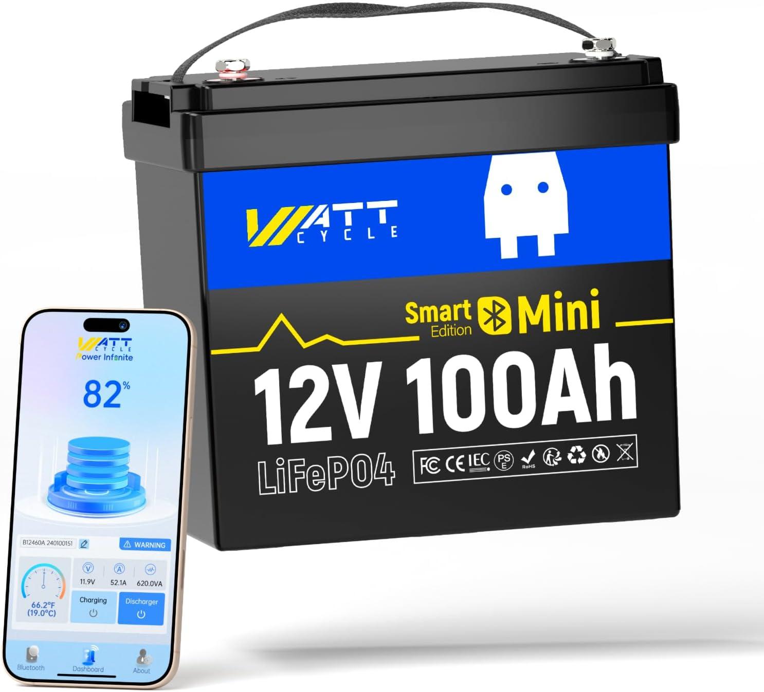 Bluetooth Tested: LiFePO4 Versus Mini 100Ah: Surprising Insights for RV Needs