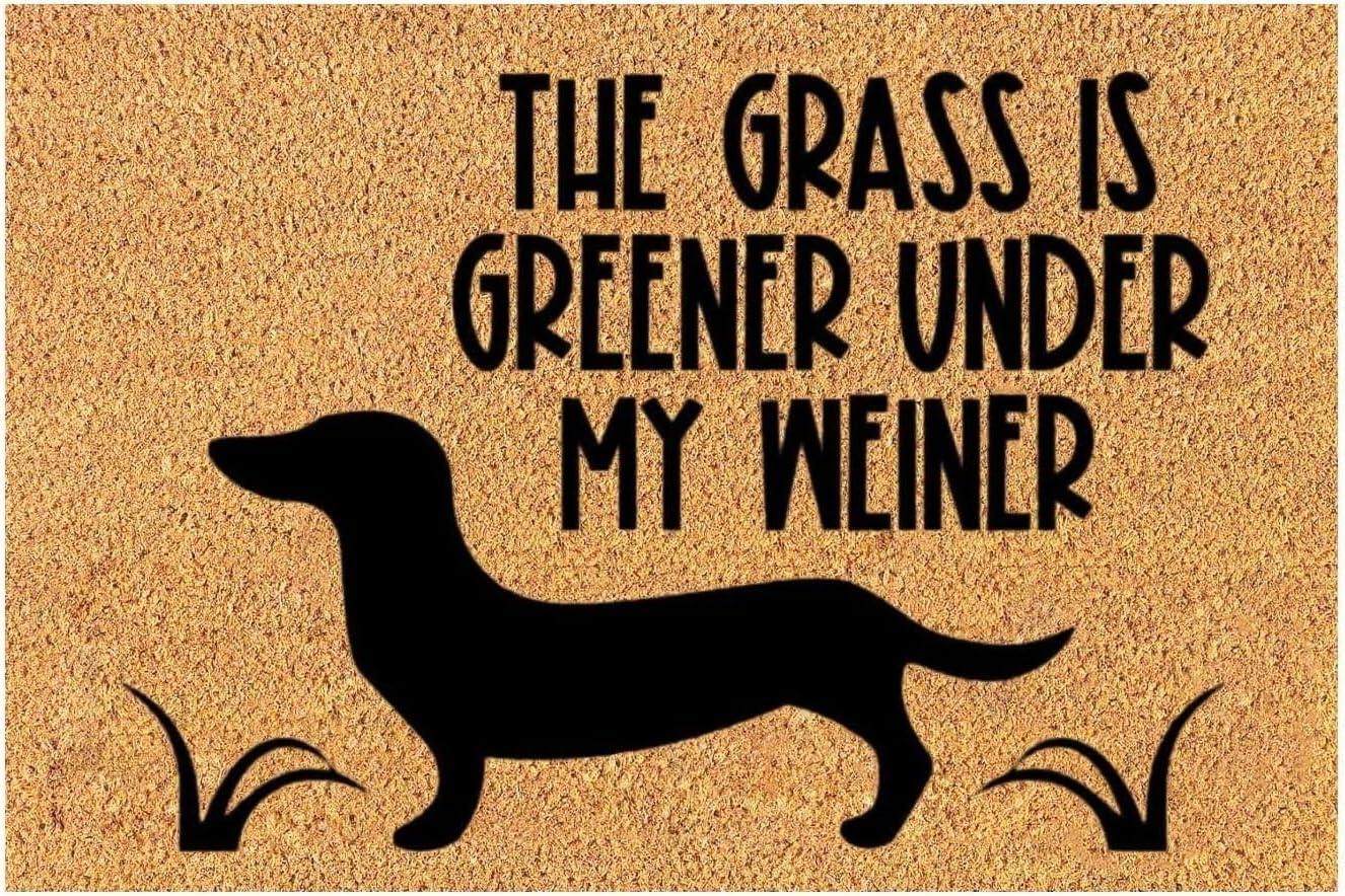 Grass-Green Testbed Versus Easy-Clean Showdown: Seasonal Mat Insights