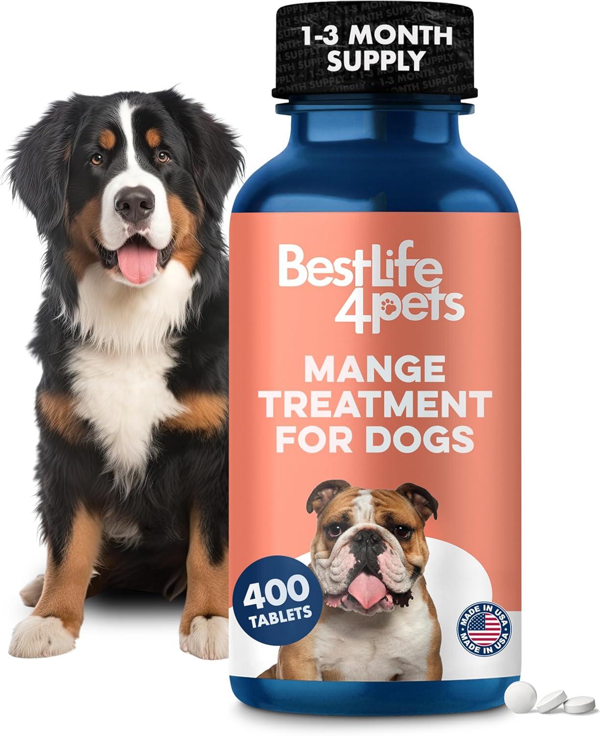 Mange Treatment Showdown: Best Natural Remedies For Dogs... Surprising Insights