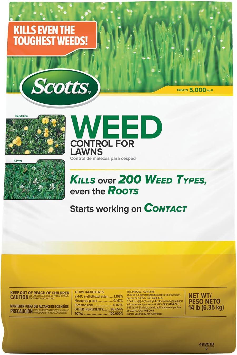 Surprising Lawn Care Showdown: Tested Weed vs. Feed Solutions