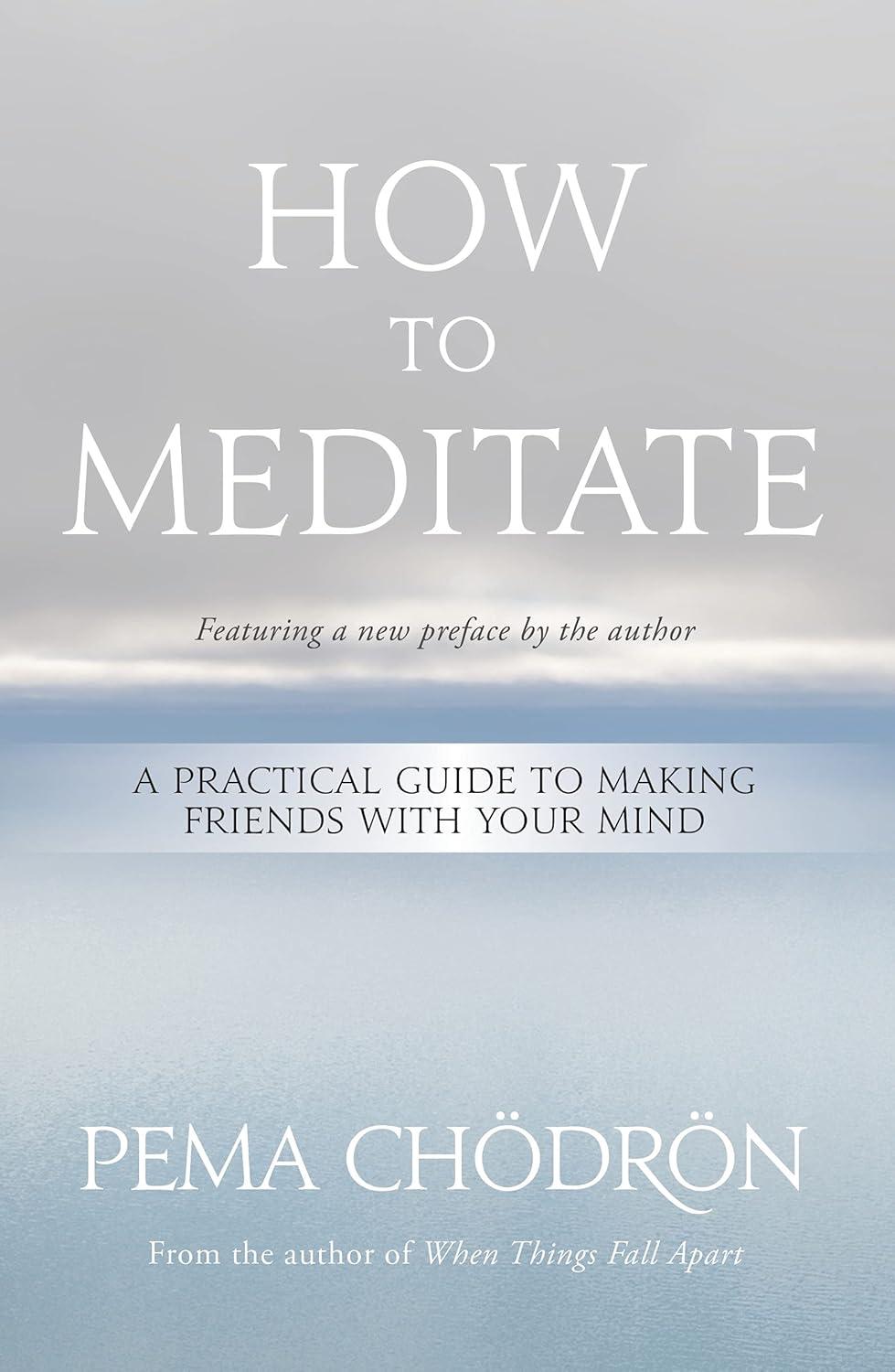 Meditation Guide Compared: Tested... Mind Mastery vs Spring Insight!