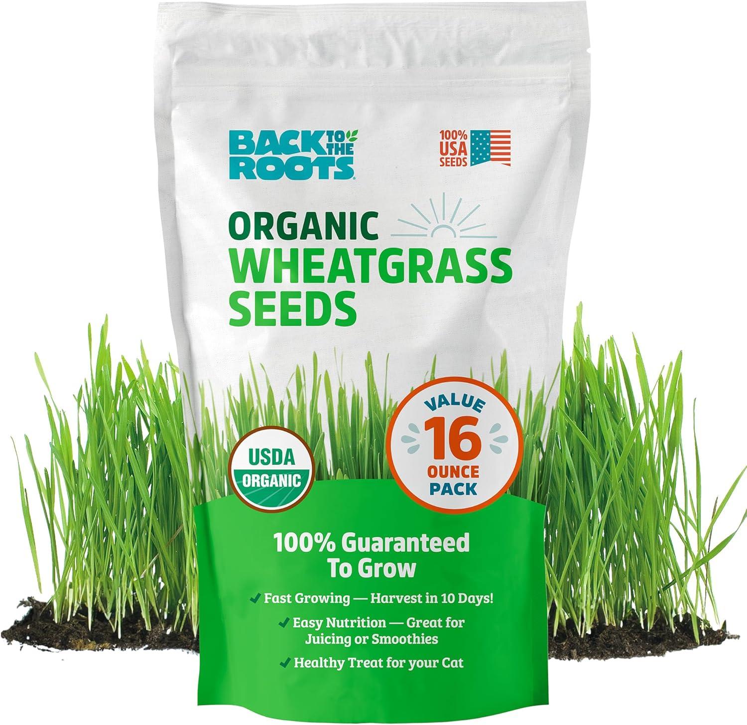 Back to the Roots Wheatgrass: Easy Grow, Surprising Витаминсы Versus Cat Seeds... Compare!