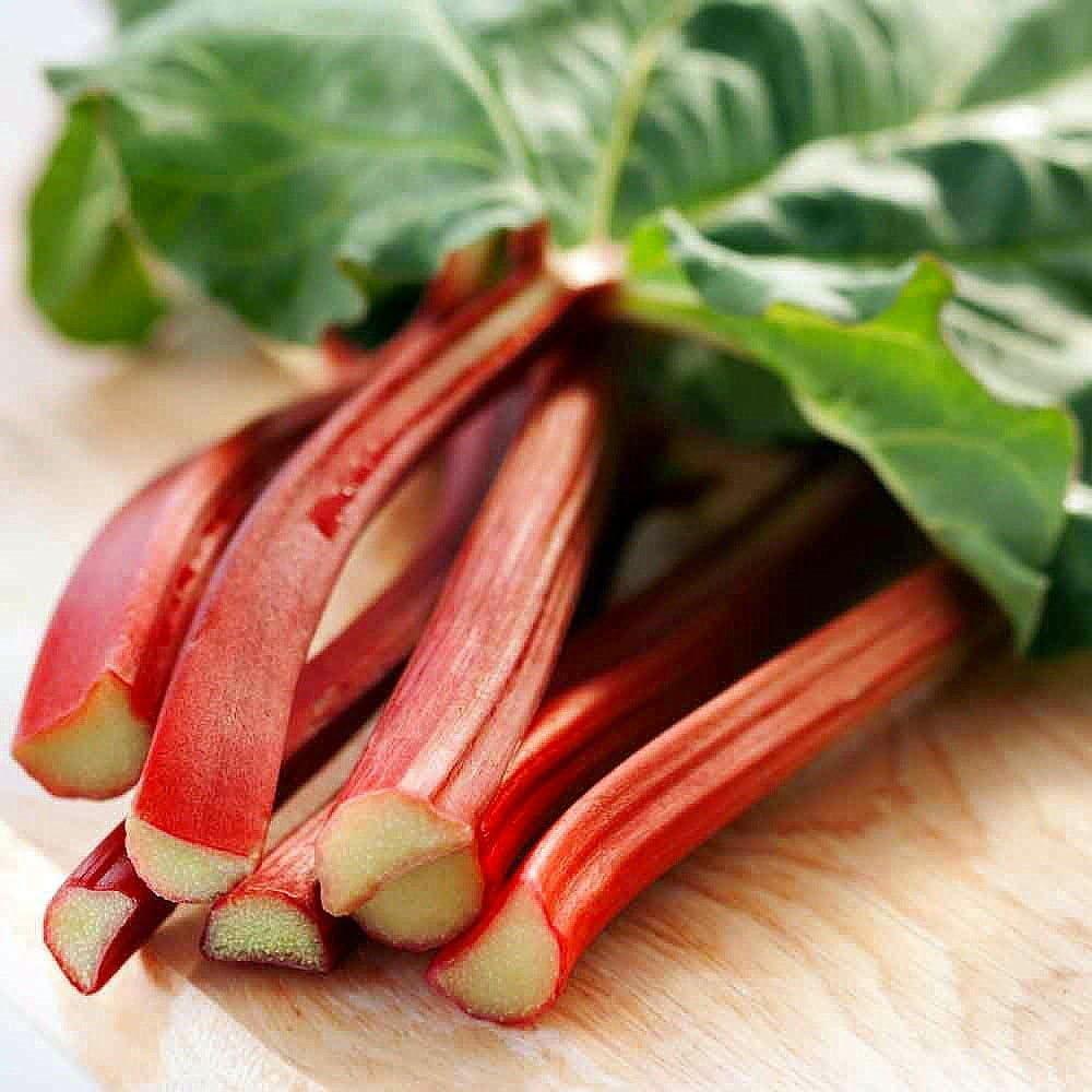 Rhubarb Victoria Comparison: Easy Growth vs. Fast Harvest Showdown