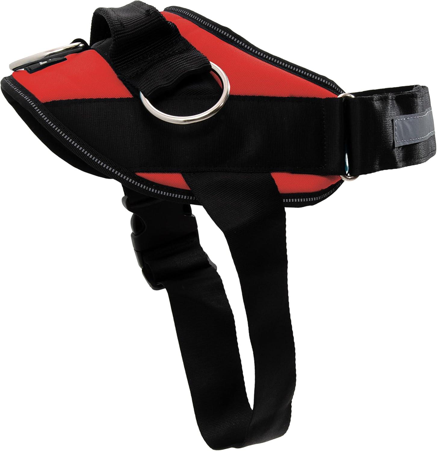 ShawnCo Harness: Tested For Comfort, No-Pull Power ... Surprising Fit!