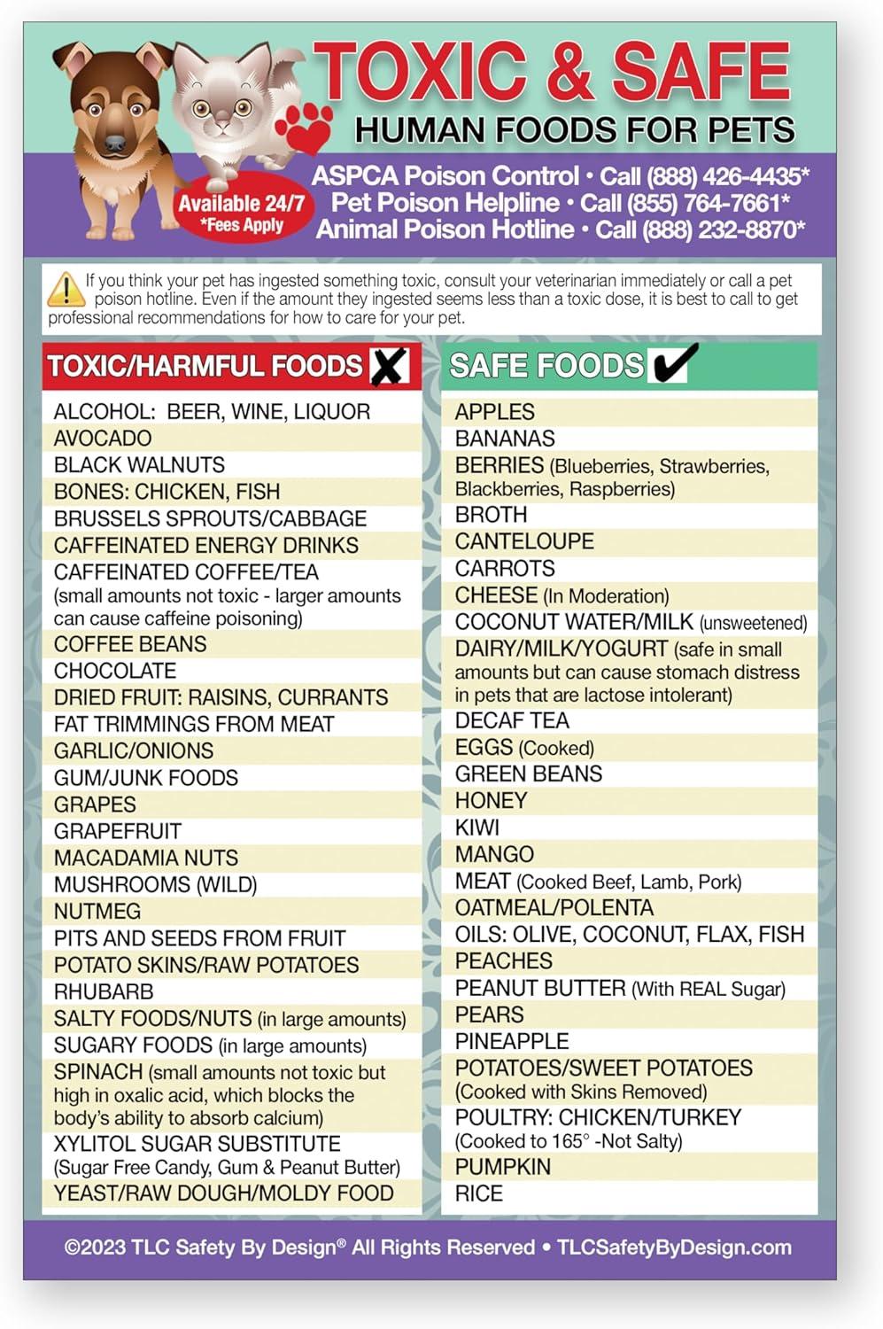 Safe Foods Chart With Magnets... Pet Safety Compared, Tested Insight!
