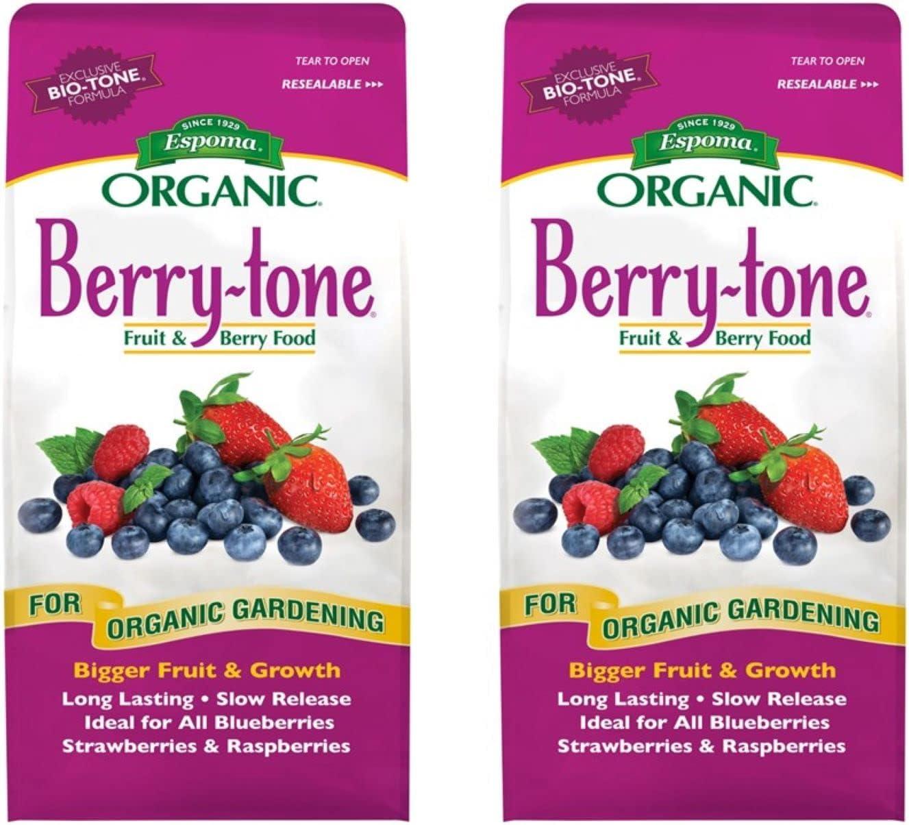 Espoma Berry Versus Synthetic vs. 2 Bags Tested...Harvest Surprises!