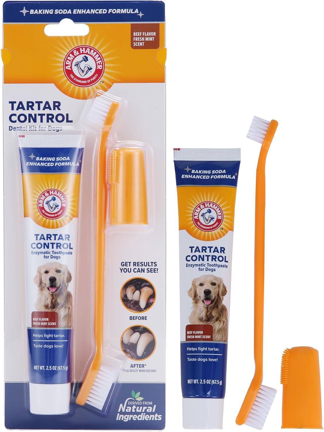 Brushing Your Dog’s Teeth: A Surprising Way To Fresh Breath