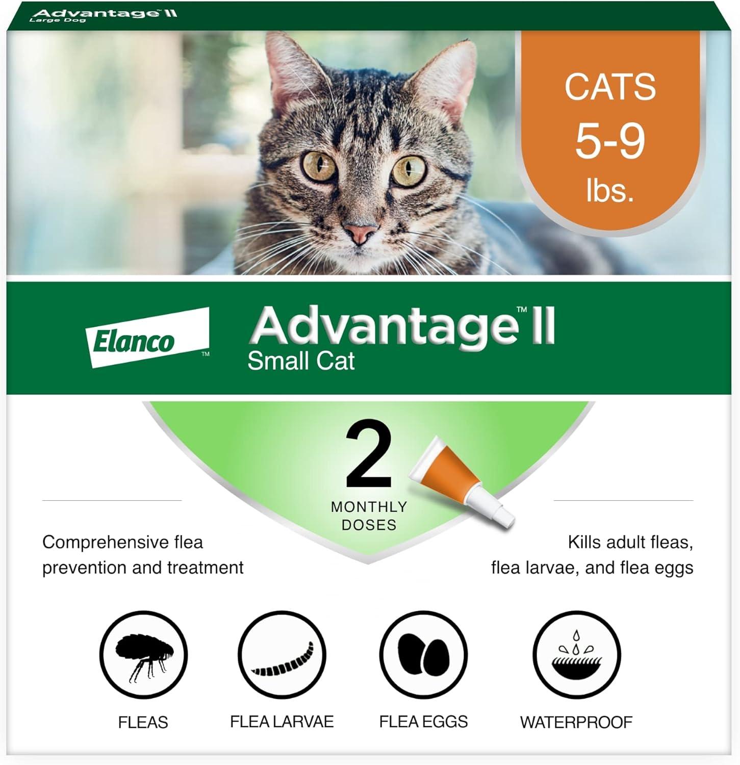 Showdown: Advantage II vs. Other Flea Treats for Cats
