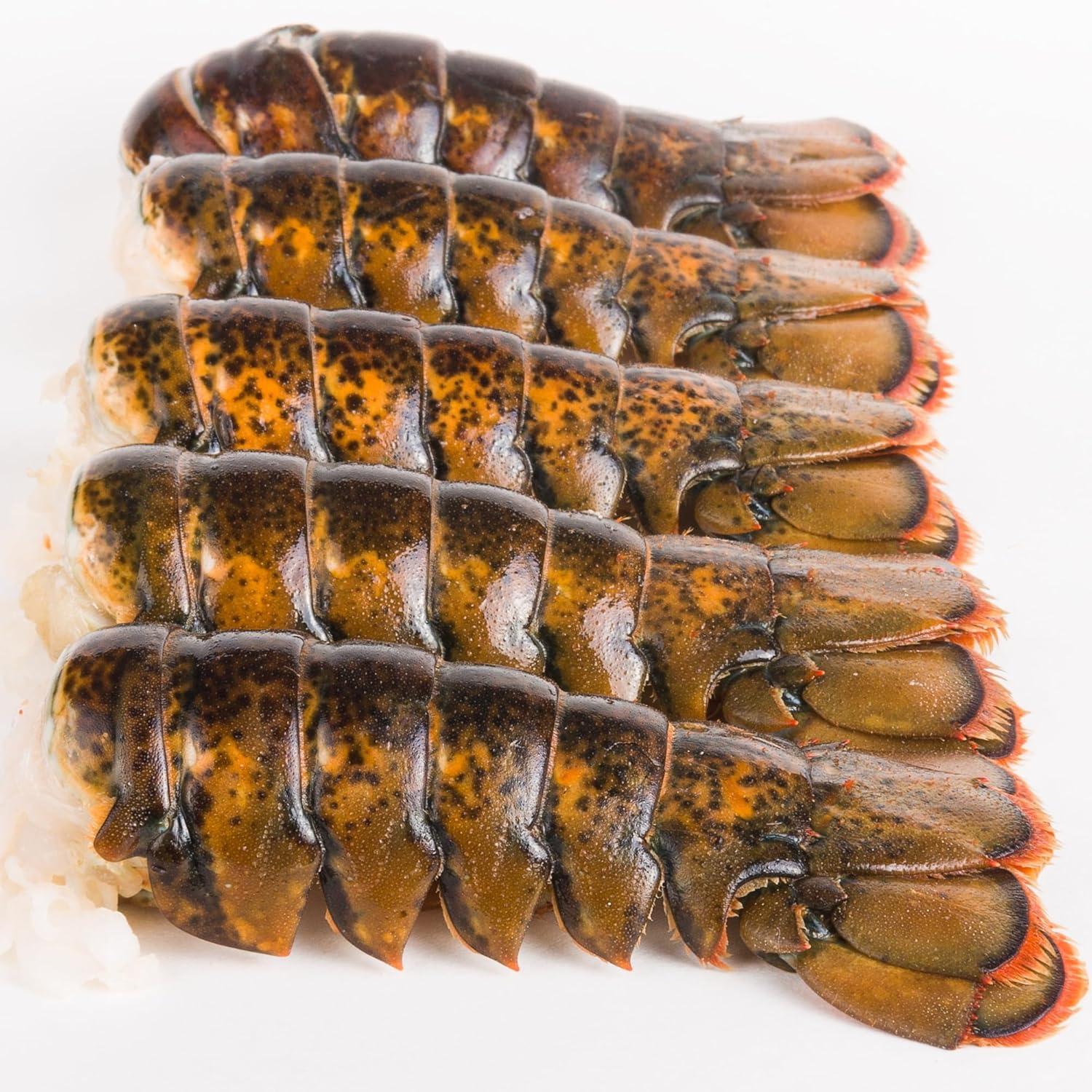 Testing Maine Lobster Tails: Tender, Frozen Delight. Trending Now!