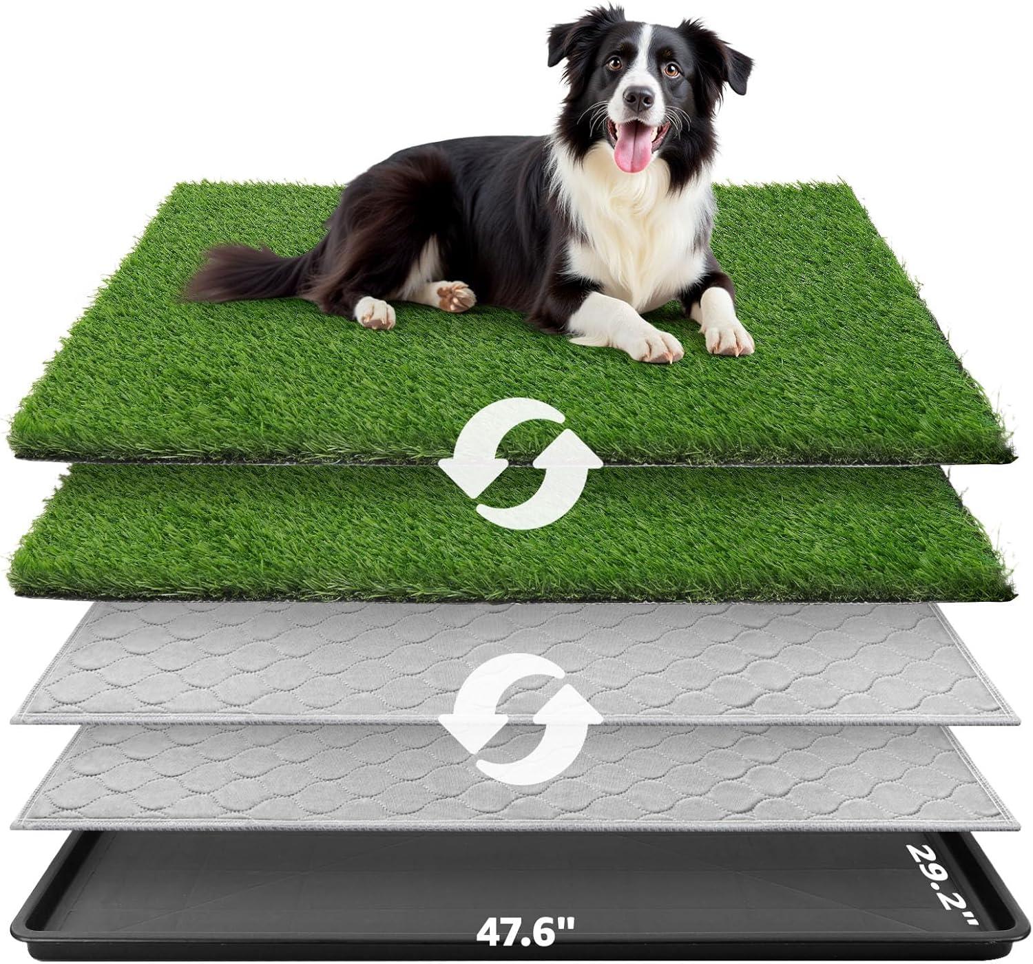 Comparing Potty Patches: Surprising Ease In Trainingdogs