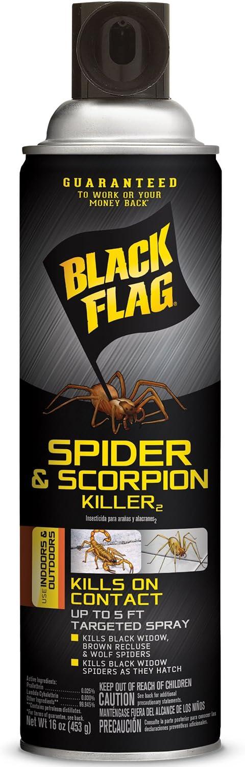Black Flag Versus Raid: Killer Shower... Showdown