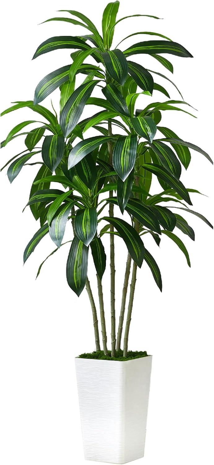 Versus Fake Yucca: tested Silk Dracaena vs. Real: Find Best Trendy Choice