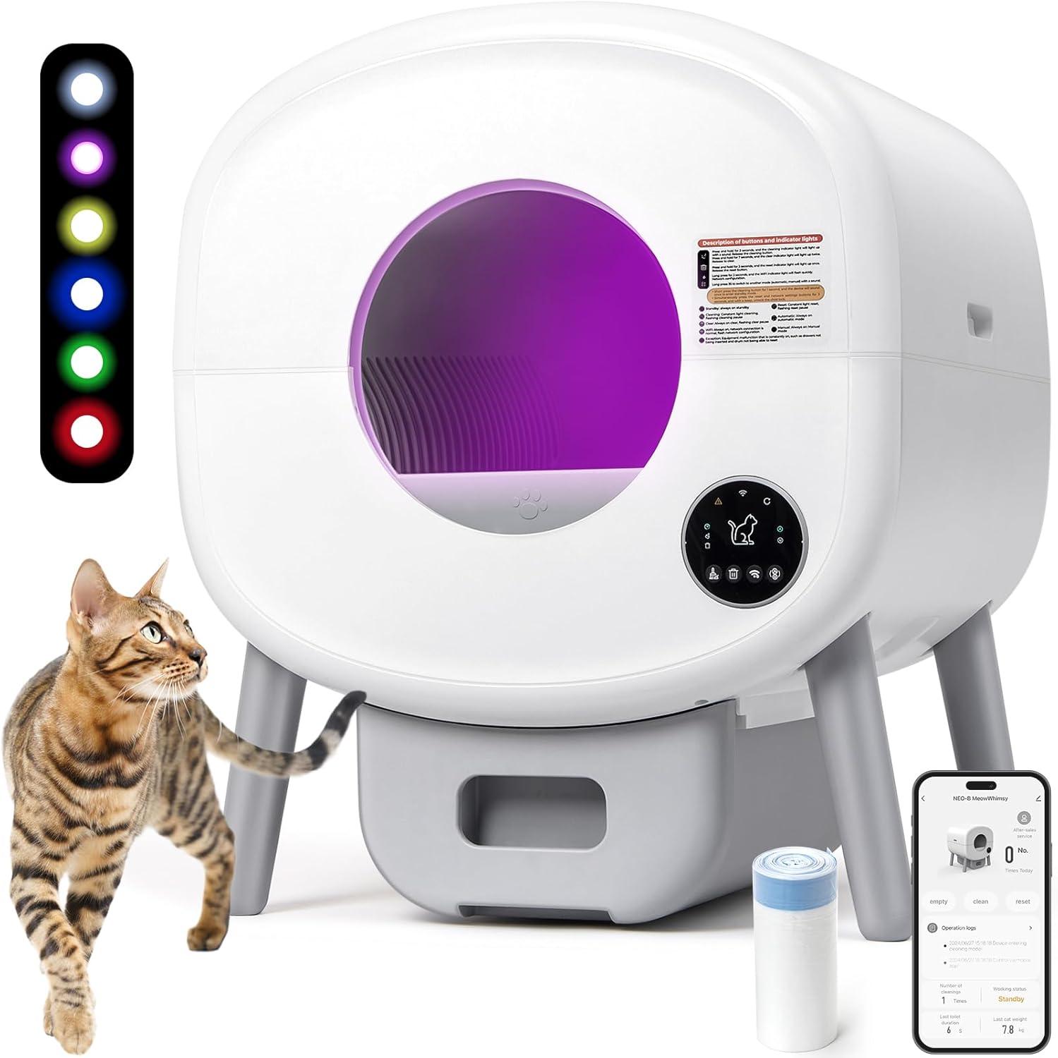 Surprising Insight: Litter Box Showdown Tested