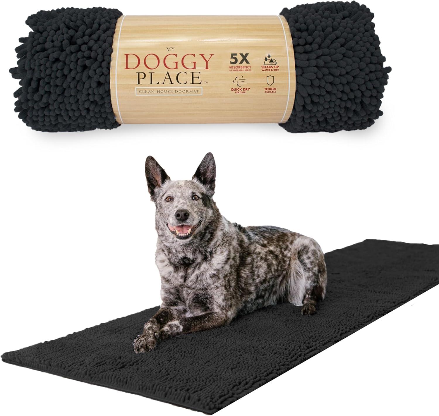 Surprising Insight: SureFeed Microchip Feeder vs. Pet Food Lidsalyzed