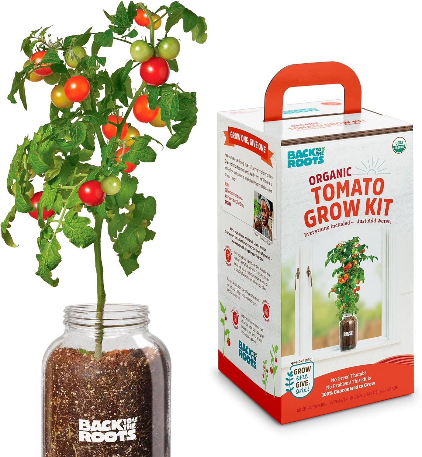 Compare Back to the Roots Cherry Tomatoes: Tested Year-Round Growth... Perfect Windowsill Kits!