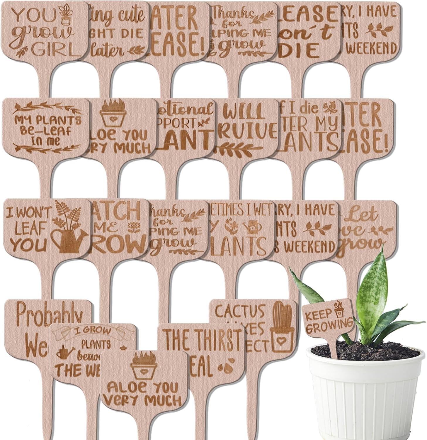 Basking In The Glow: A Tested Plant Tag Showdown 🌟