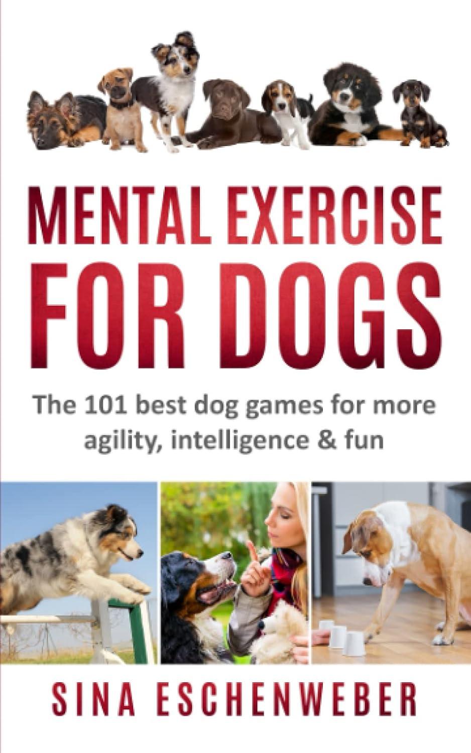 Unique Games for Smart, Agile Dogs: Tested Play Ideas…