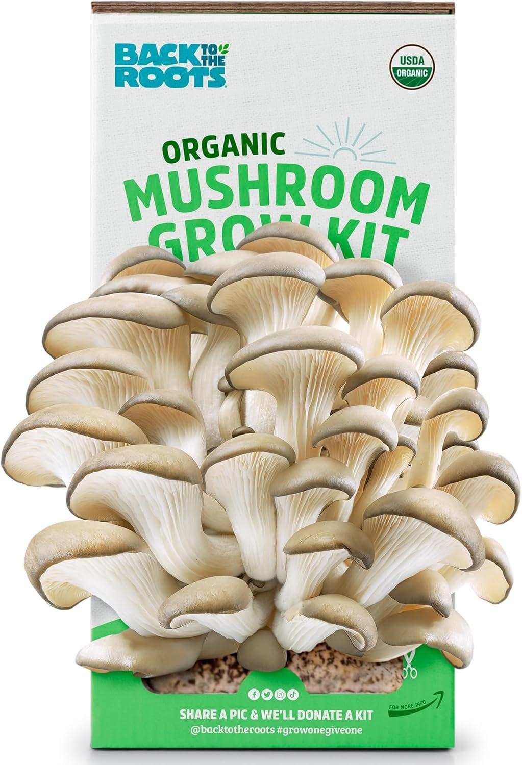 Surprising Growth: North Spore Shiitake Plugs vs. Logs