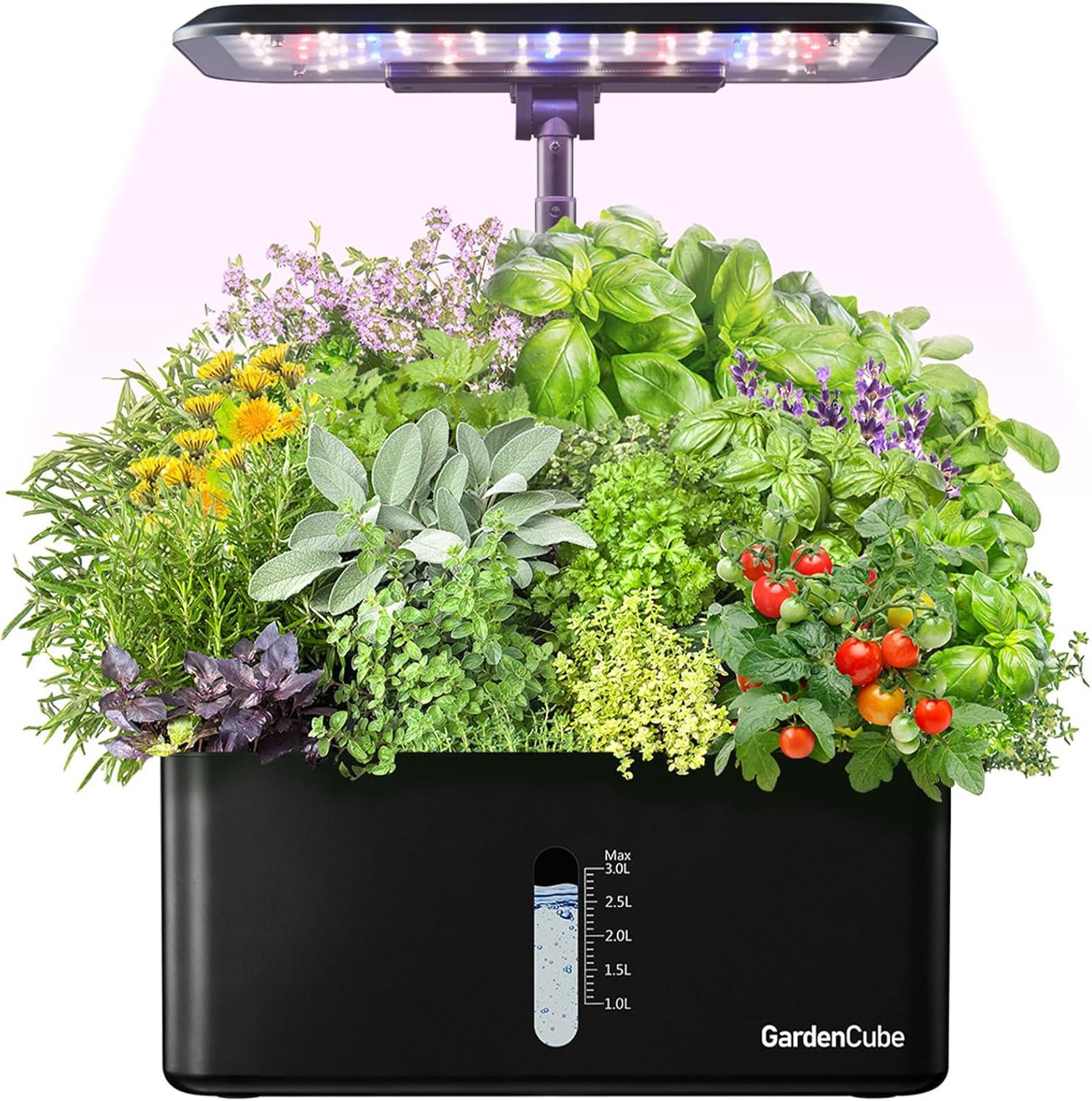 Hydroponic Starter Kit: Surprising Growth Tested in Indoor Garden