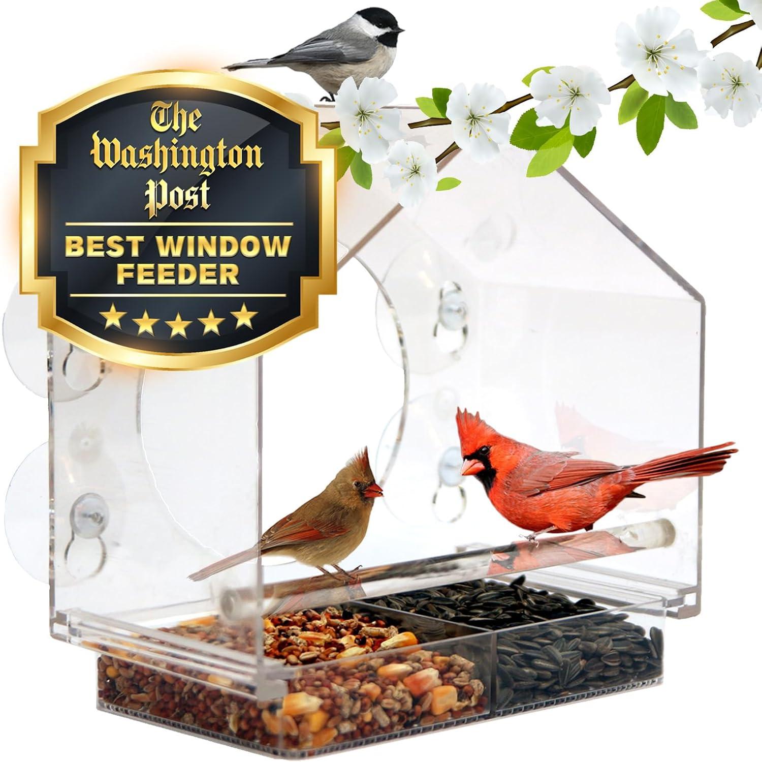 Clear View vs. Easy Clean: Tested Outdoor Bird Feeder Insight!