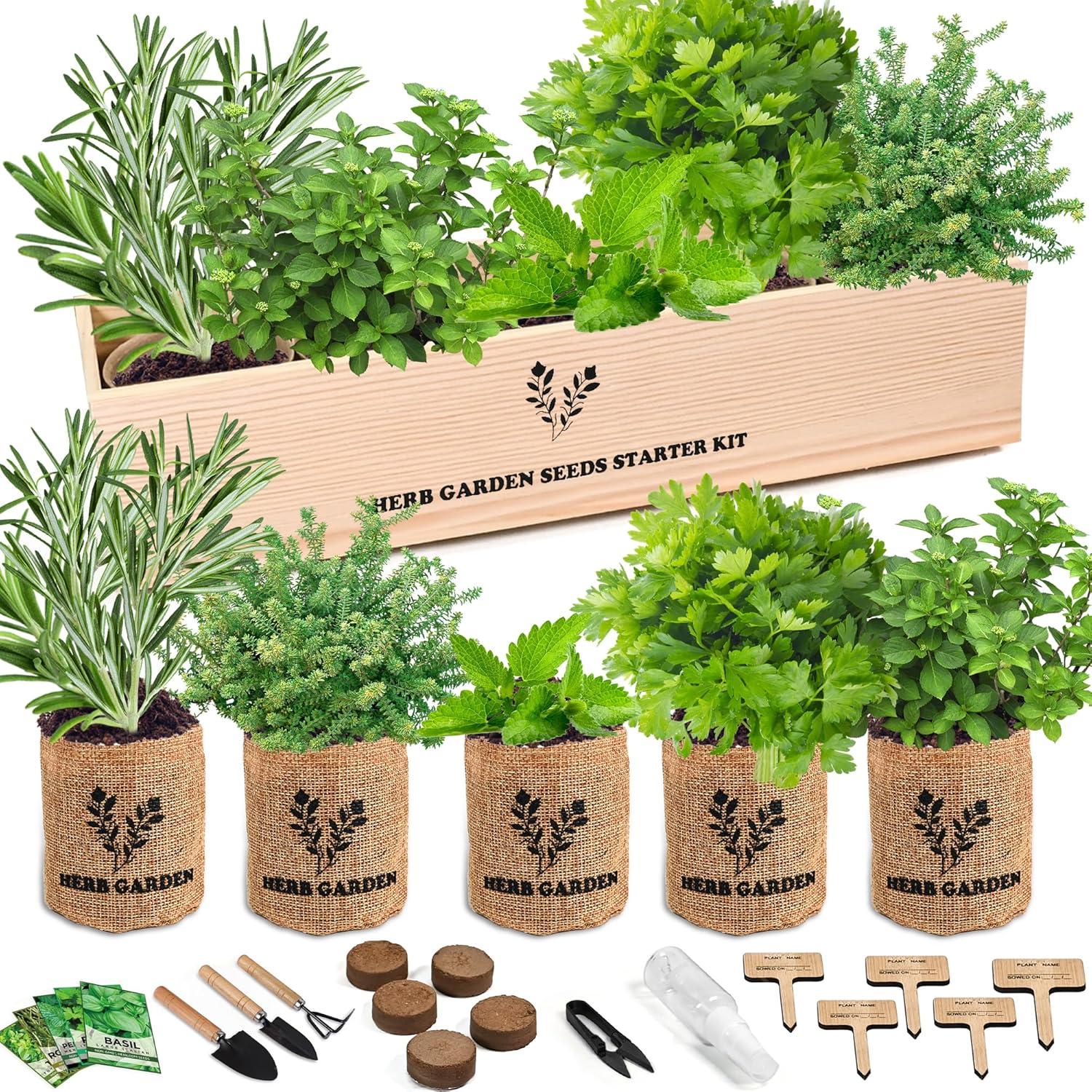 Grow Kit's tested: Basil, Parsley, Rosemary… Perfect Christmas gift!